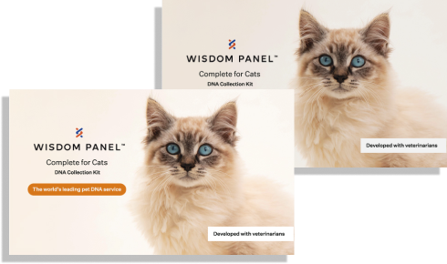 Wisdom Panel™ Complete for Cats Bundle