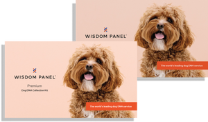 Wisdom Panel™ Premium Bundle