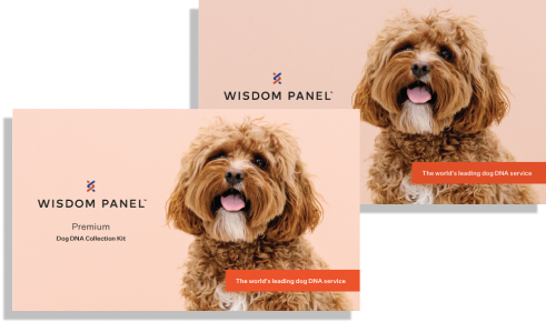 Wisdom Panel™ Premium Bundle